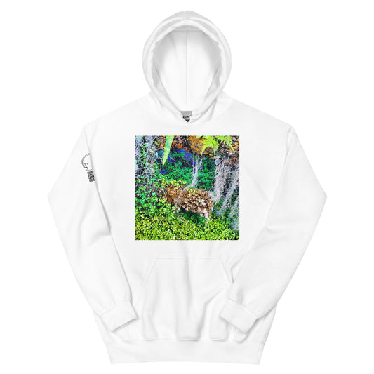 528 Hertz - Unisex Hoodie